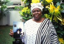 Dia da Libertação da África e a história dos que voltaram para casa