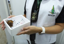 Vigilância Sanitária fiscaliza clínicas de estética