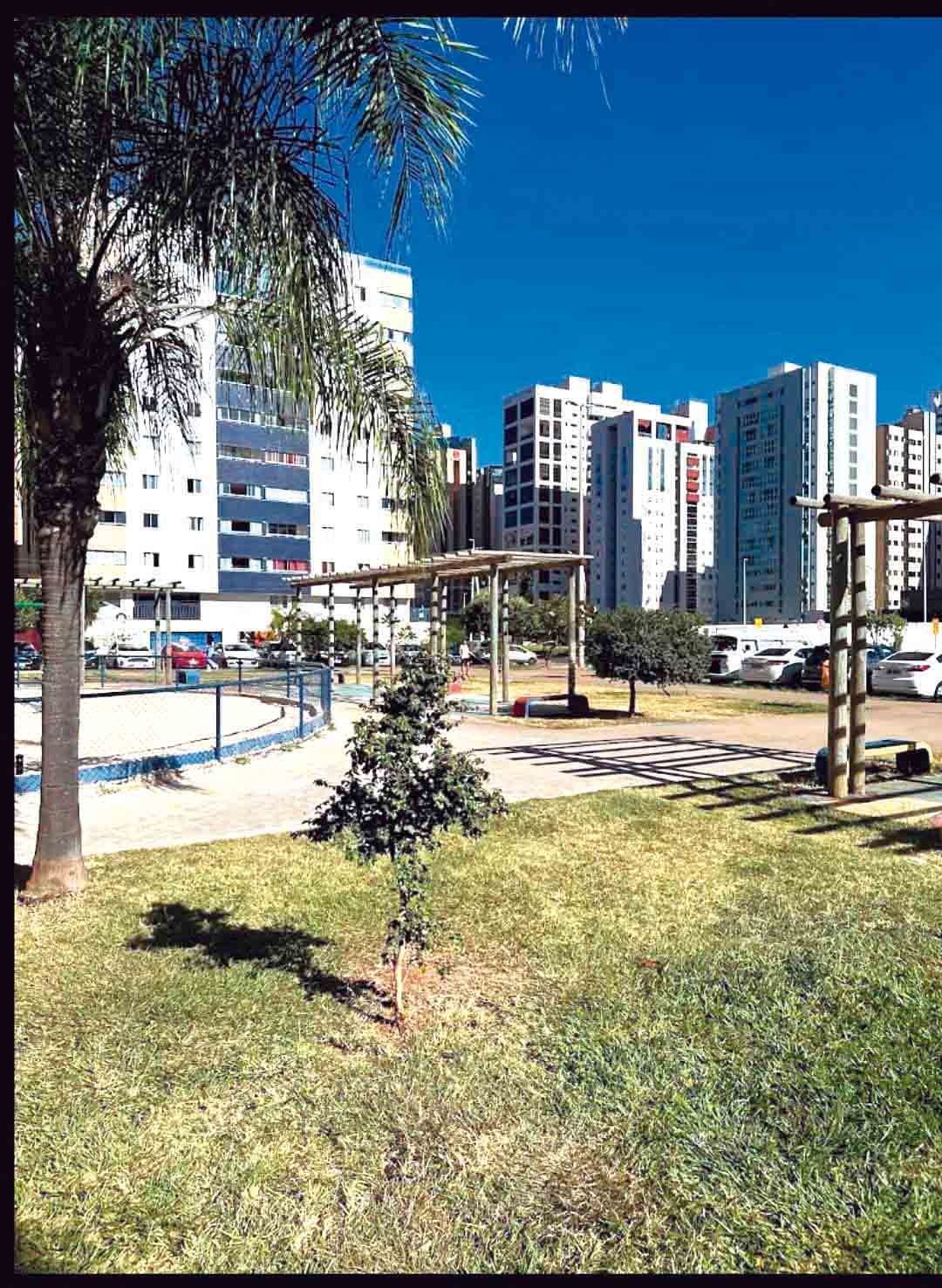 WhatsApp Image 2026-01-14 at 17.31.49