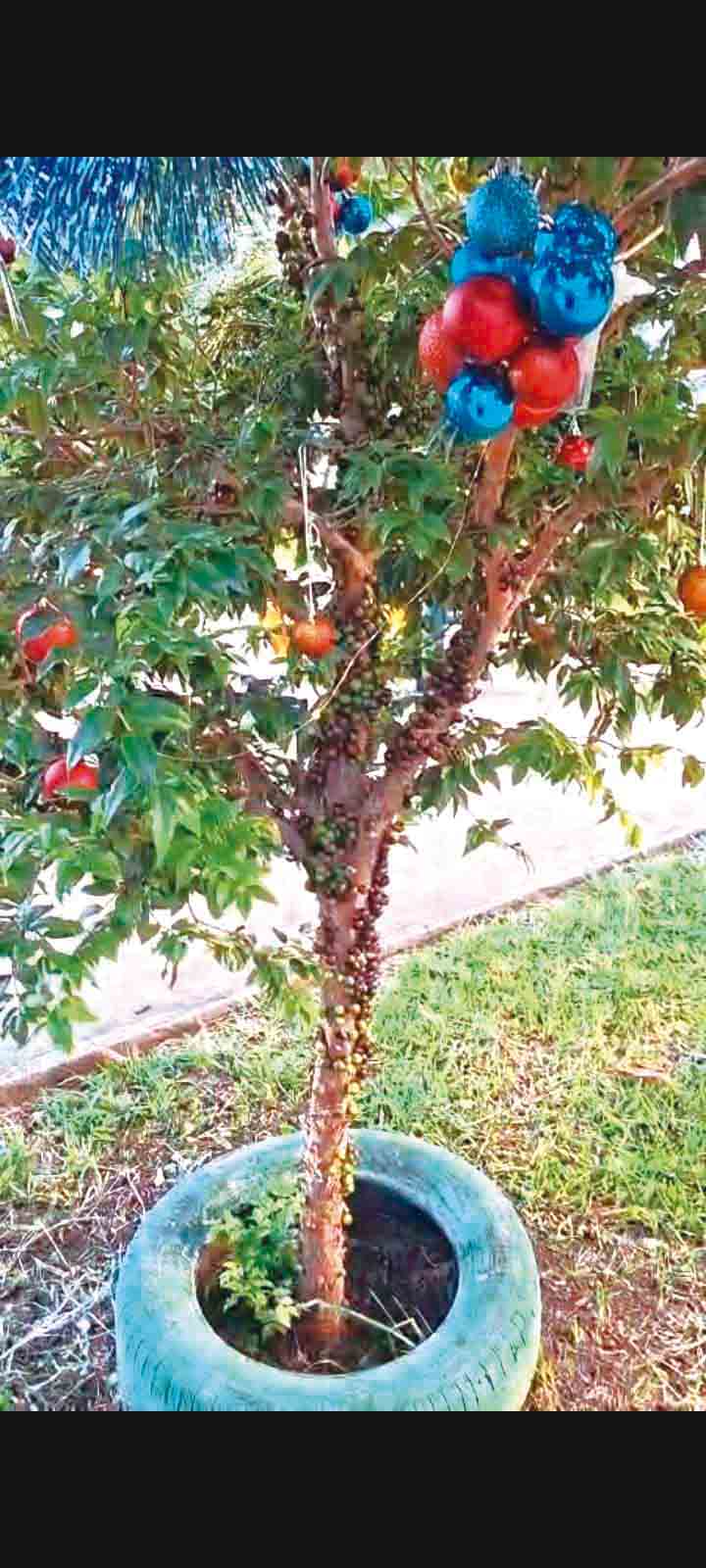 WhatsApp Image 2026-01-14 at 18.01.30