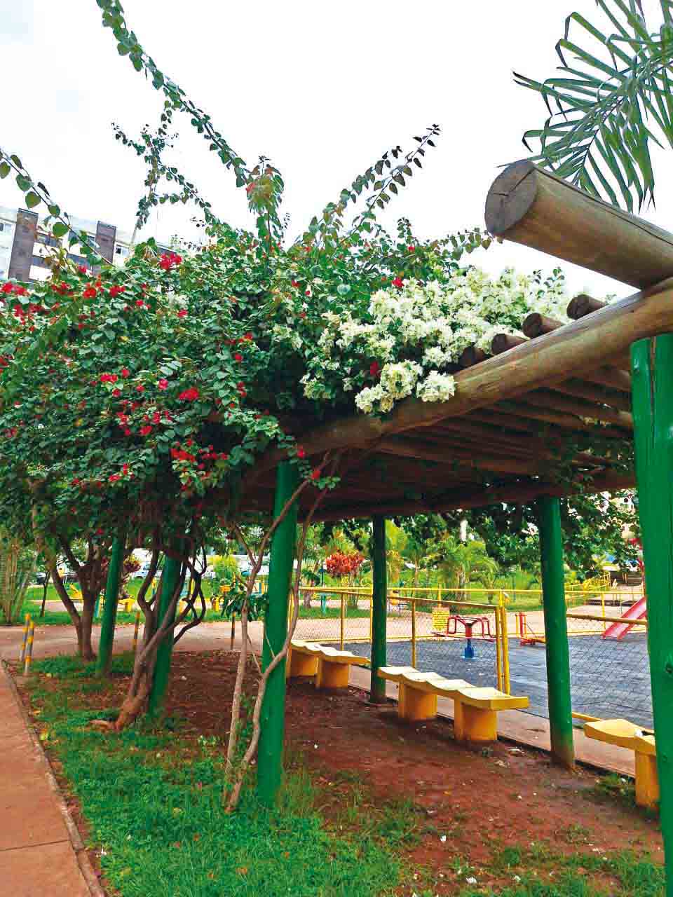 WhatsApp Image 2026-01-14 at 18.10.49