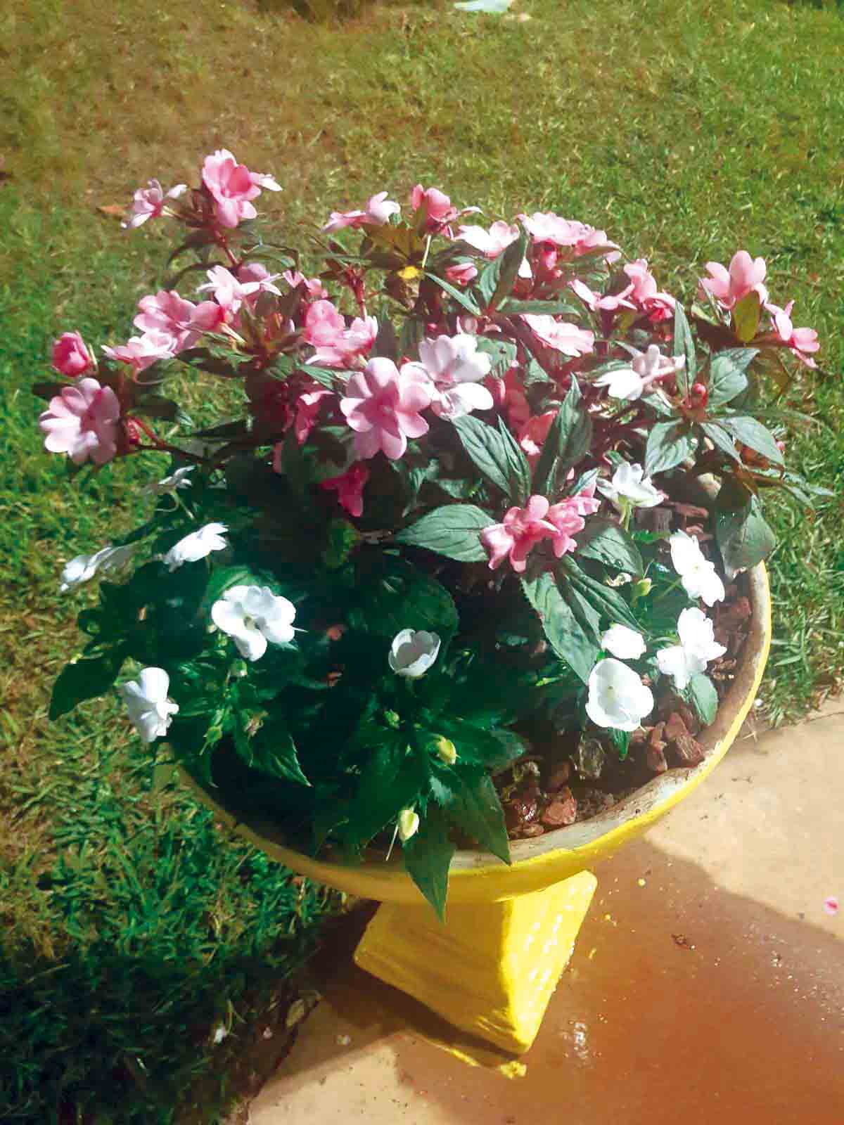 WhatsApp Image 2026-01-14 at 18.23.06 (1)