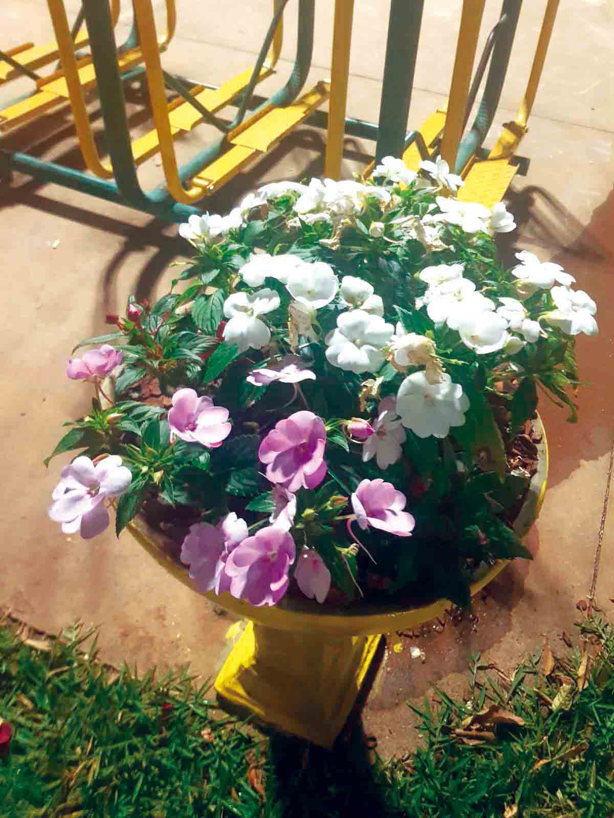 WhatsApp Image 2026-01-14 at 18.23.06