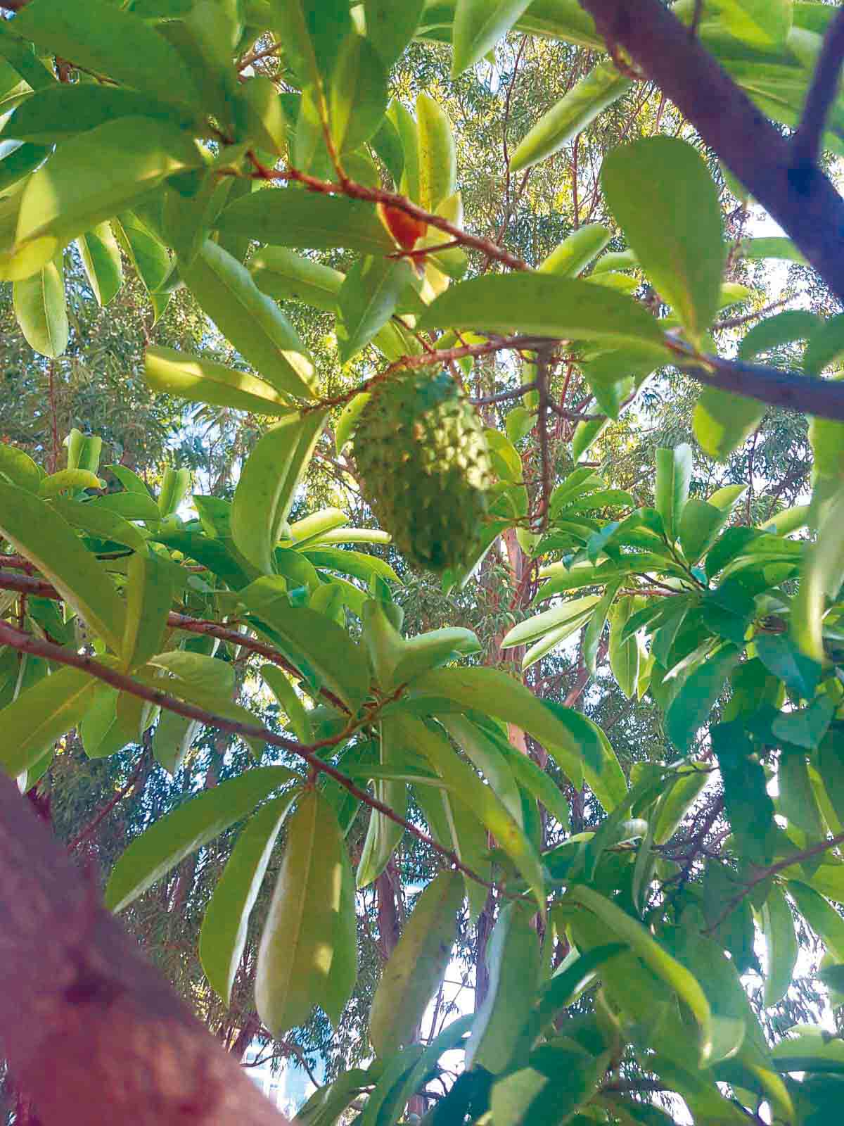 WhatsApp Image 2026-01-14 at 18.23.07