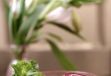 Terrazas GastroBar inaugura em Águas Claras com drinks clássicos e autorais