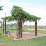 55160807194_90d4297e8c_c